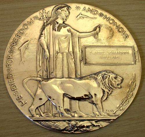 WW1 SOUTH AFRICAN LARGE DEATH "PENNY" PLAQUE - DIED 24/1/1919