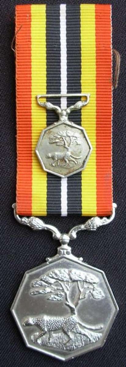 SADF SOUTHERN AFRICA ("CROSS-BORDER") MEDAL + MINIATURE