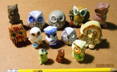 Owl lot