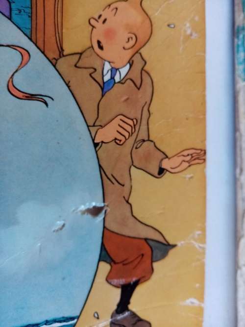 Tin Tin books