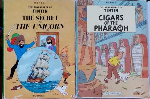 Tin Tin books