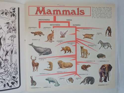 Panini Mammals Sticker Book