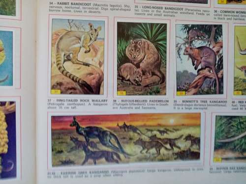 Panini Mammals Sticker Book