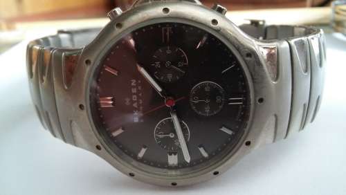 Skagen Denmark Titanium, Free Shipping!