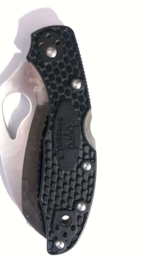 Byrd Hawkbill 2 (Spyderco).