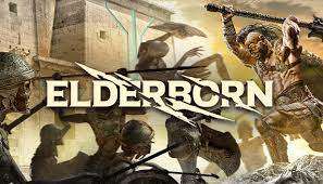 ELDERBORN Steam Key Global