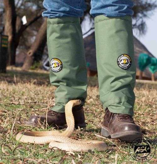 ASI Snake Gaiters LITE