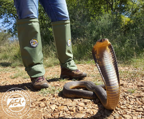 ASI Snake Gaiters LITE