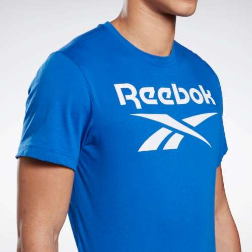 100% Original Reebok FP9144 RI Big Logo T-Shirt - Large (Retail R599)