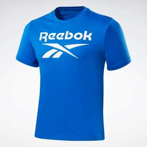 100% Original Reebok FP9144 RI Big Logo T-Shirt - Large (Retail R599)