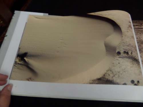 Abstract by Nature by Jonathan Basckin (Signed) Good Condition