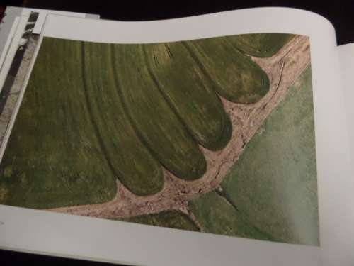 Abstract by Nature by Jonathan Basckin (Signed) Good Condition