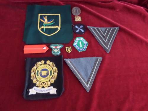 Lot of 10 Milatary Badges(bid for lot)