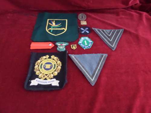 Lot of 10 Milatary Badges(bid for lot)