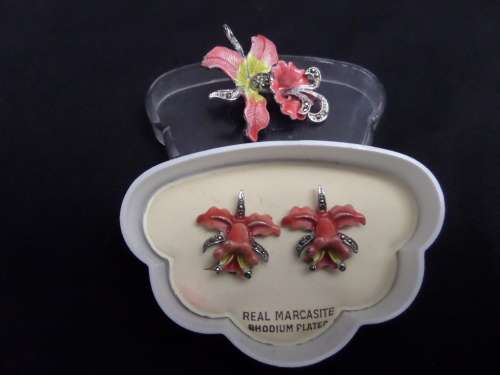 Costume Jewellery Broach and Earings(clip on's)