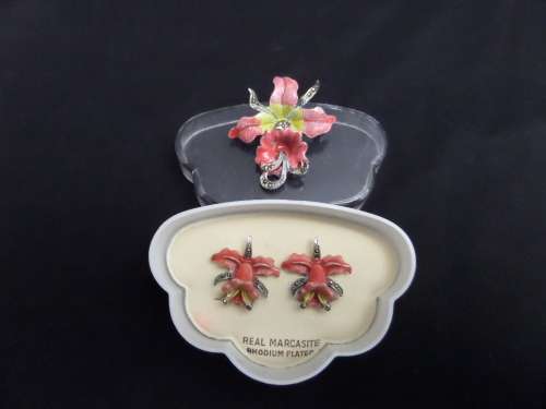 Costume Jewellery Broach and Earings(clip on's)
