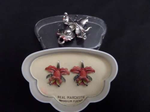 Costume Jewellery Broach and Earings(clip on's)
