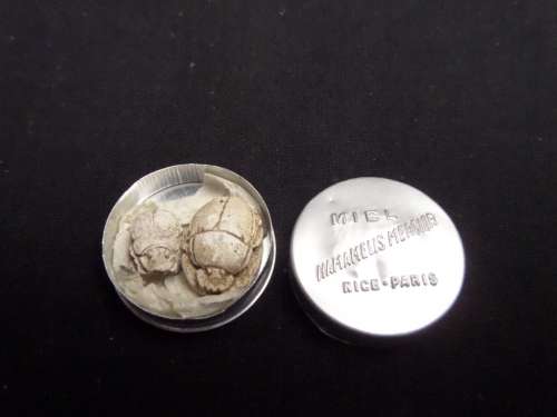 Egyptian Scarabs Amulet (Goodluck Charms with a message to congratulate a newborn)in Paris holder