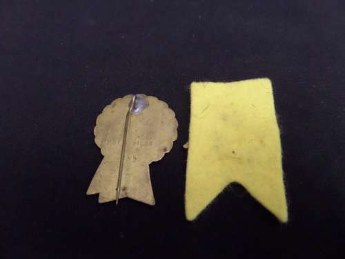 Two Springbok Rugby Badges (1960 All Blacks and 1969)