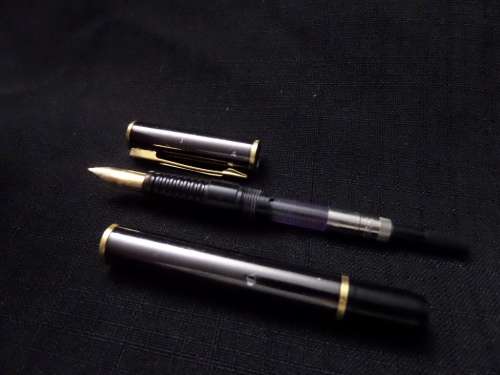 Waterman (France) Ink Pen Black