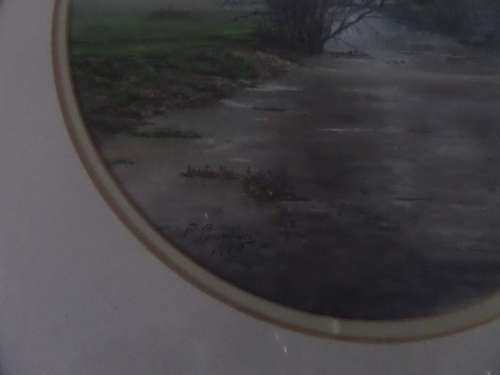 Peggy Fountain Pastel on glasspaper (Winter at Worthing on the river Wensum) 42cm x 50 cm