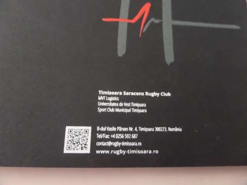 Lot of Springbok Player Chester Williams Memorabilia (See discription)