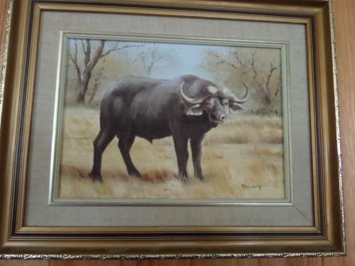 Oil on Board  -  T Hacking  -  Water Buffalo -  Frame 50 cm x 40 cm