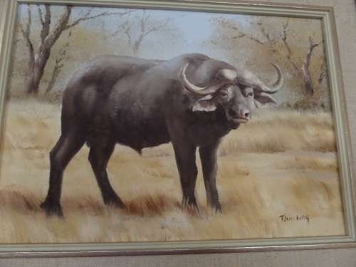 Oil on Board  -  T Hacking  -  Water Buffalo -  Frame 50 cm x 40 cm