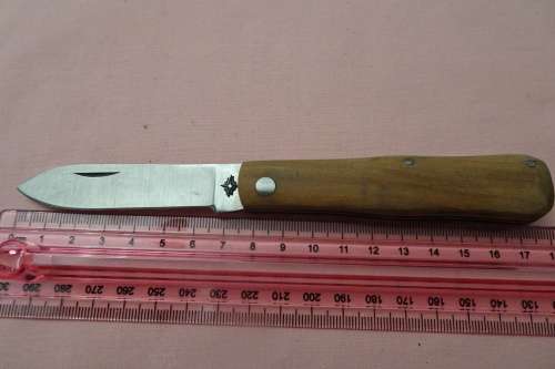 Interesting Pocket Knife with Star Motive on Blade in Excellent Condition