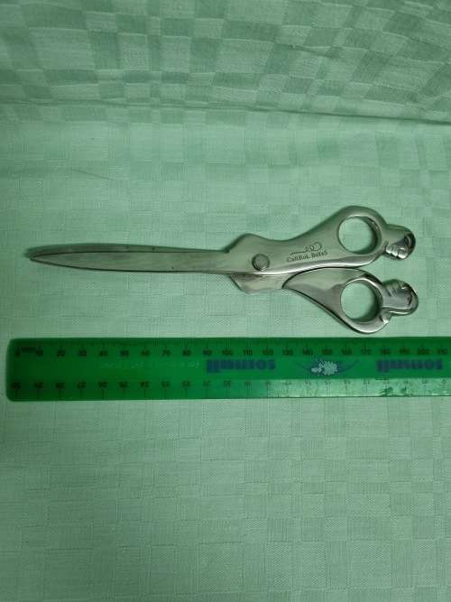 Carrol Boyes Scissors in Excellent Condition