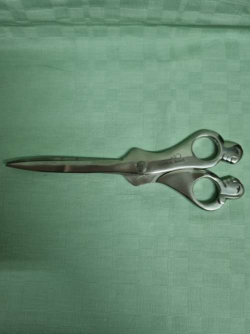 Carrol Boyes Scissors in Excellent Condition