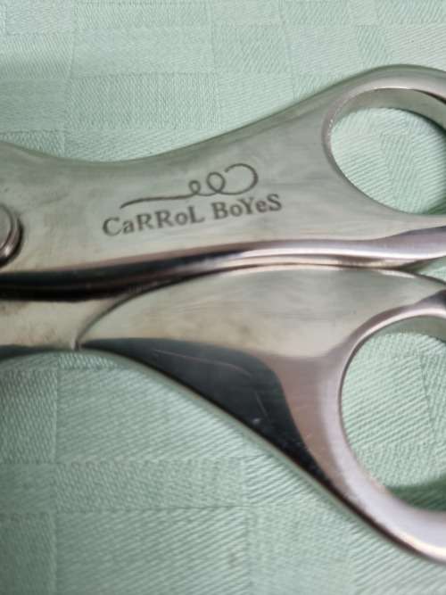 Carrol Boyes Scissors in Excellent Condition