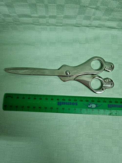 Carrol Boyes Scissors in Excellent Condition