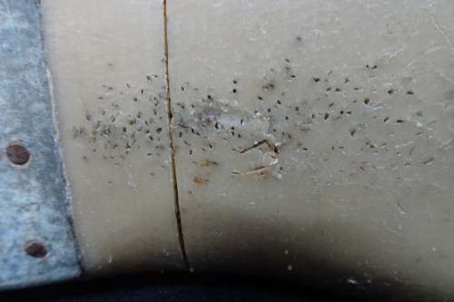 Vintage Pair of Size 7 Dress Shoe Lasts Made of Molded Plastic.