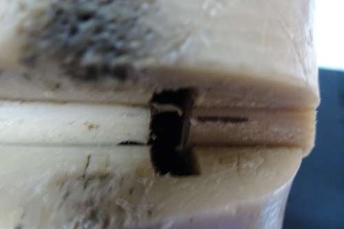 Vintage Pair of Size 7 Dress Shoe Lasts Made of Molded Plastic.