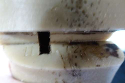 Vintage Pair of Size 7 Dress Shoe Lasts Made of Molded Plastic.