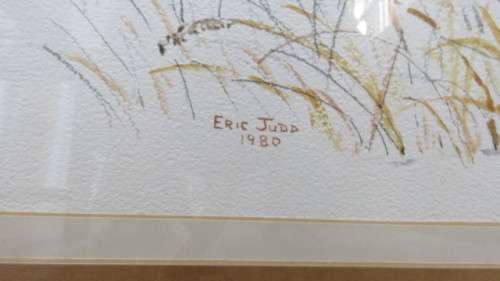 Stunning Framed Watercolour `Aloe Candelabrum` South African Artist Eric Judd (1935-Present). Signed