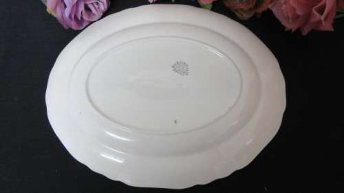 Awesome Vintage Sol JandG Meakin Rose Serving Platter With Green Border. Made in England.
