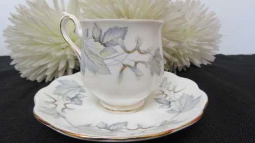 Gorgeous Royal Albert Bone China `Silver Maple` Coffee Cup and Saucer