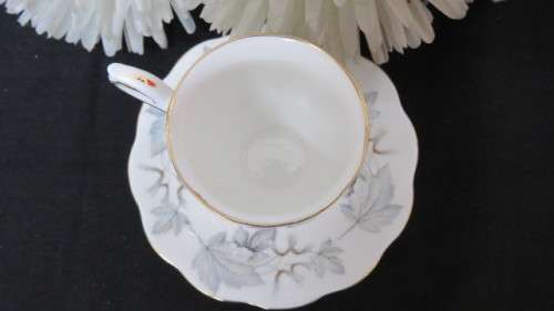Gorgeous Royal Albert Bone China `Silver Maple` Coffee Cup and Saucer