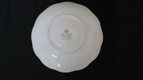 Gorgeous Royal Albert Bone China `Silver Maple` Coffee Cup and Saucer
