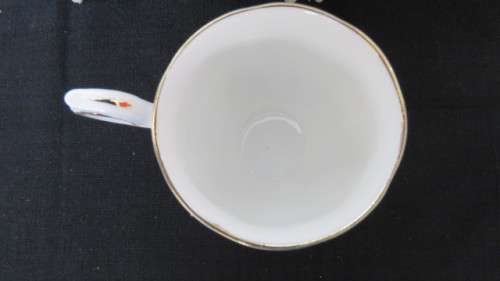 Gorgeous Royal Albert Bone China `Silver Maple` Coffee Cup and Saucer