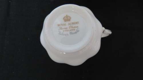 Gorgeous Royal Albert Bone China `Silver Maple` Coffee Cup and Saucer