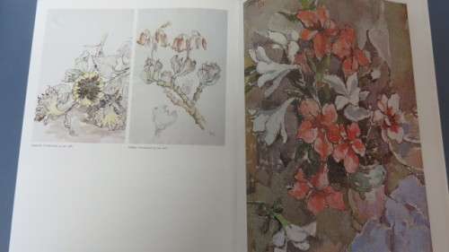 Stunning Soft Covered Gregoire Boonzaier Book by Martin Bekker