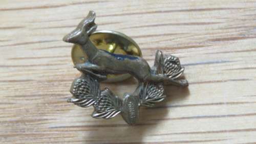 Vintage South African Rugby Brass Tone Metal Lapel Pin 2,5 x 1,5 cm