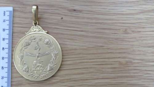 South African Defence Force Unnamed Gold Gilt Merit Medal 50 mm