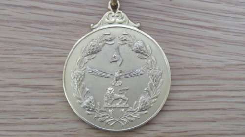 South African Defence Force Unnamed Gold Gilt Merit Medal 50 mm