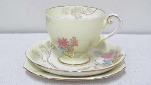 Beautiful Vintage Shelley Fine Bone China Trio Hand Painted Tree And Flower Decoration