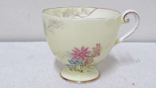 Beautiful Vintage Shelley Fine Bone China Trio Hand Painted Tree And Flower Decoration