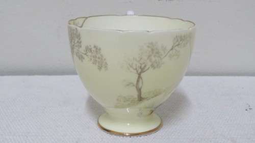 Beautiful Vintage Shelley Fine Bone China Trio Hand Painted Tree And Flower Decoration